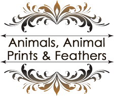 Animals, Animal Prints & Feathers